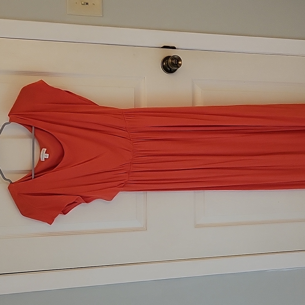 Charming Charlie Dress